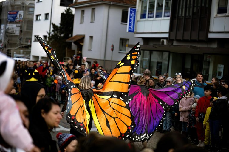 Vibrant butterfly costumes in a lively city parade in Leonberg, Germany.